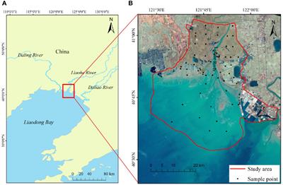 Soil organic carbon storage in Liaohe River Estuary Wetlands under restoration and multiple management strategies, based on landscape patterns